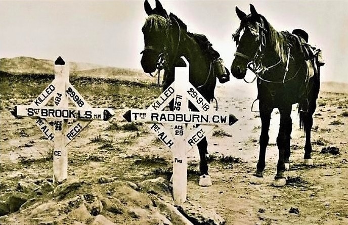 Horses Standing Behind Light Horsemen Graves