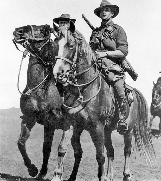 Australian Light Horse