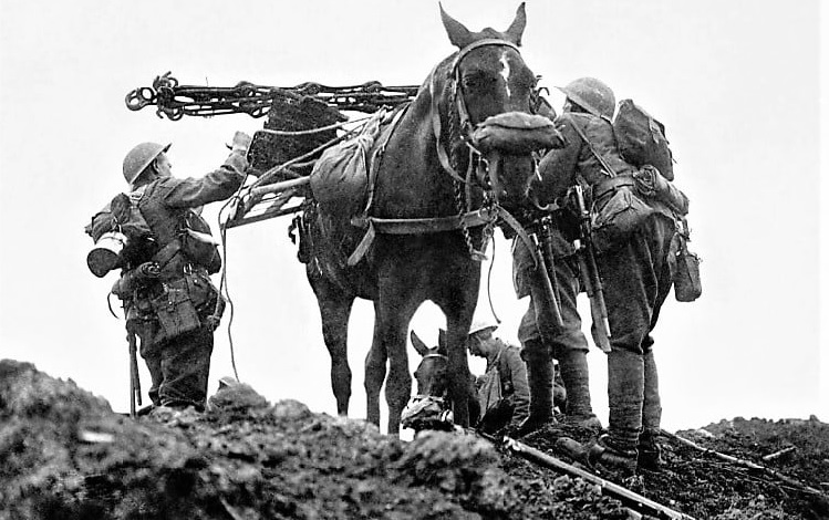 WW1 Pack Horse Western Front